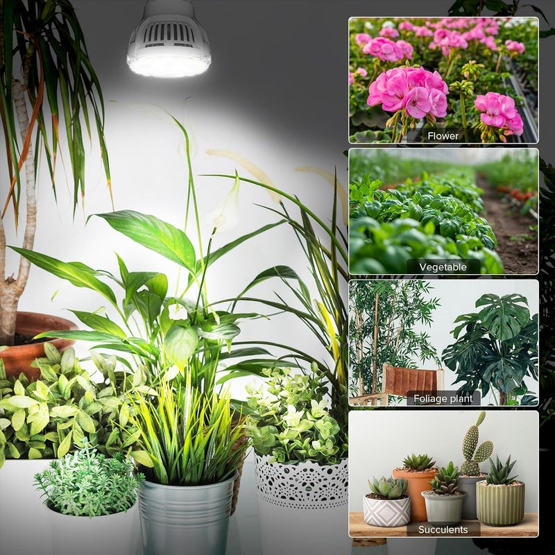SGLEDs Grow Light Bulbs for Indoor Growing, A15 7W LED Grow Lights for Indoor Plants Seed Starting, High PPFD, Full Spectrum 60W Equivalent E26 Base, 2 Pack - Image 5